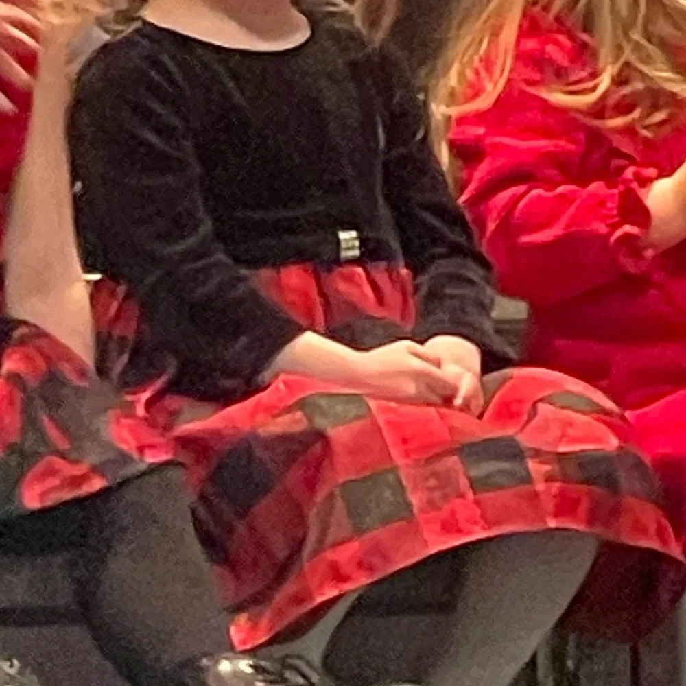 2/$40 Blueberi Boulevard Black and Plaid Dress - Picture 5 of 7